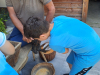 tehniski_dan_2razred011