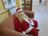 bozicno_vzdusje023