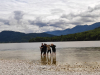 svn_bohinj_192