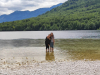 svn_bohinj_193