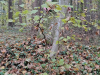 naravoslovni_dan018
