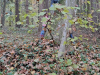naravoslovni_dan021
