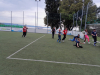debeli_rtic_006