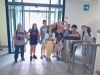 debeli_rtic_028