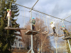 sola_v_naravi_0080